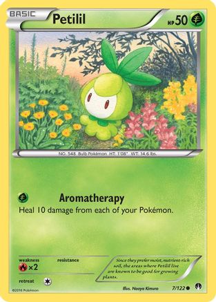 Petilil 007 XY BREAKpoint - Common