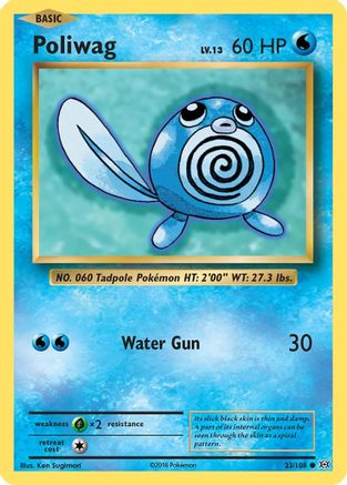 Poliwag 023 XY Evolutions - Common