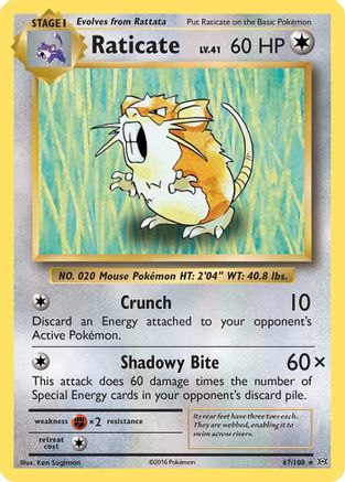 Raticate 067 XY Evolutions - Rare
