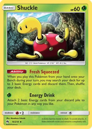 Shuckle 016 SM Lost Thunder - Uncommon