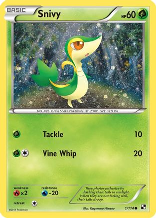 Snivy (Cosmos Holo) 001/114 - Holofoil Miscellaneous Cards & Products - Promo