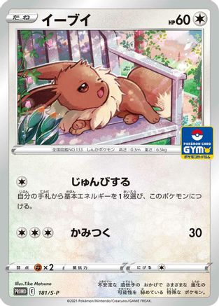 Eevee - 181/S-P (181/S-P) - SP Sword Shield Promos