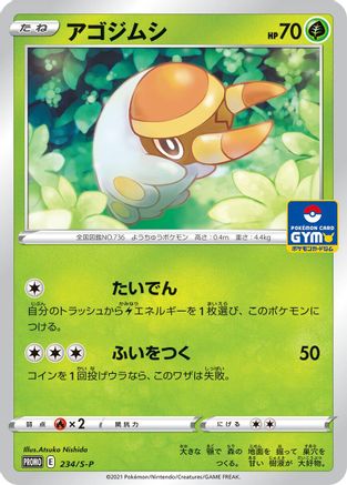 Grubbin - 234/S-P (234/S-P) - SP Sword Shield Promos