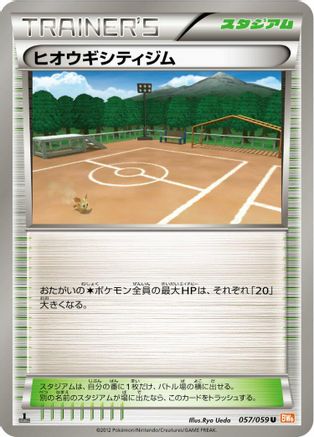 Aspertia City Gym (057/059) - BW6 Cold Flare 1st Edition