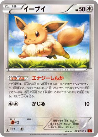 Eevee (075/096) - XY3 Rising Fist Unlimited