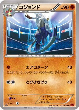 Mienshao (055/096) - XY3 Rising Fist 1st Edition