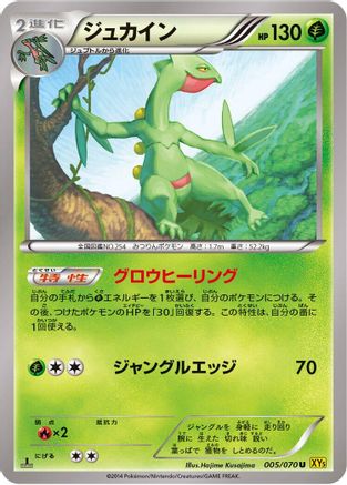Sceptile - 005/070 (005/070) - XY5Bg Gaia Volcano Unlimited
