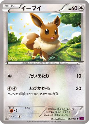 Eevee (063/081) - XY7 Bandit Ring 1st Edition
