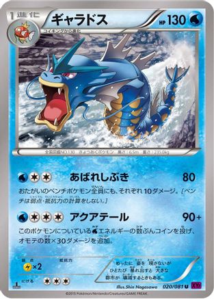 Gyarados - 020/081 (020/081) - XY7 Bandit Ring 1st Edition