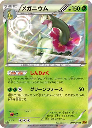 Meganium (003/080) - XY9 Rage of the Broken Heavens Unlimited Holofoil