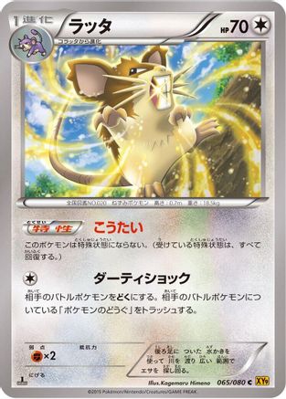 Raticate (065/080) - XY9 Rage of the Broken Heavens 1st Edition