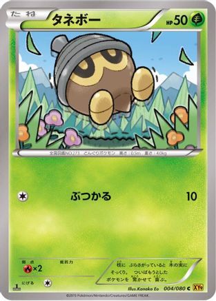 Seedot (004/080) - XY9 Rage of the Broken Heavens 1st Edition