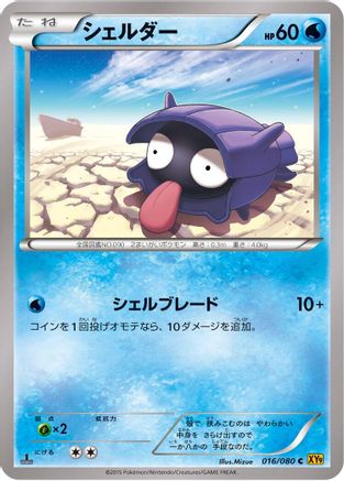 Shellder (016/080) - XY9 Rage of the Broken Heavens 1st Edition