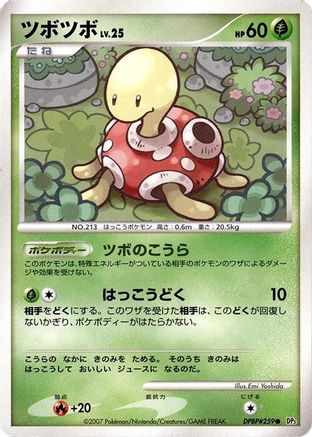 Shuckle - DP3 Shining Darkness 1st Edition
