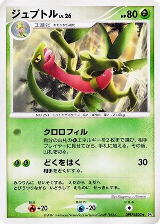 Grovyle - DP4 Dawn Dash Unlimited