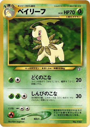 Bayleef - Neo Premium File 1