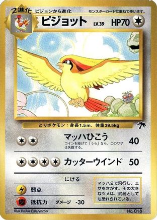 Pidgeot - Southern Island