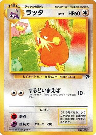Raticate - Southern Island