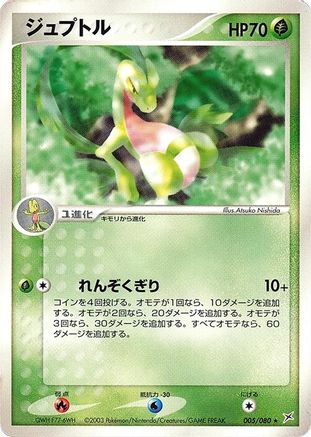 Grovyle (005/080) - Magma VS Aqua Two Ambitions Unlimited