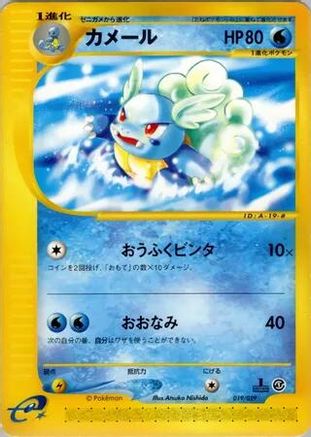 Wartortle (019/029) - Pokemone Starter Deck Unlimited