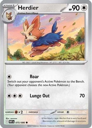 Herdier 075 SV White Flare - Common
