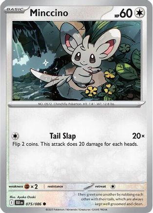 Minccino 075 - Reverse Holofoil SV Black Bolt - Common