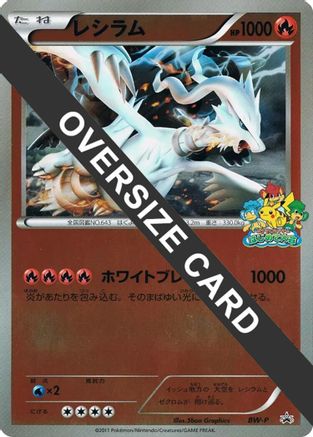 Reshiram (Beginner's Battle Conference) (Jumbo) - BWP Promotional cards Holofoil