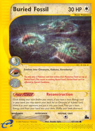 Buried Fossil - Reverse Holofoil Skyridge - Common