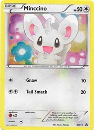 Minccino - BW13 (Cosmos Holo) - Holofoil Black and White Promos - Promo