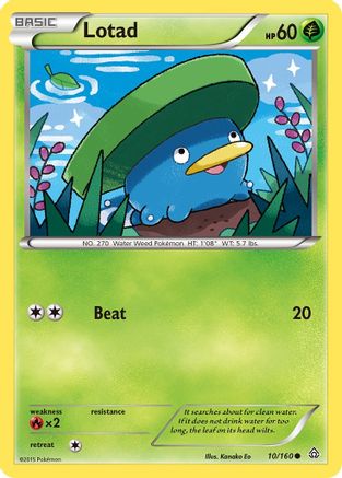 Lotad 010 XY Primal Clash - Common