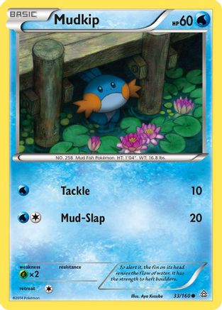 Mudkip 033 - Reverse Holofoil XY Primal Clash - Common