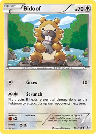 Bidoof 116 XY Primal Clash - Common