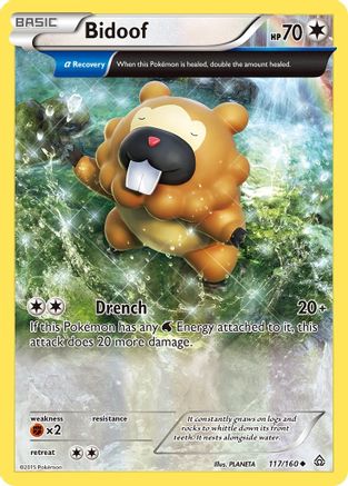Bidoof (Alpha) 117 XY Primal Clash - Uncommon