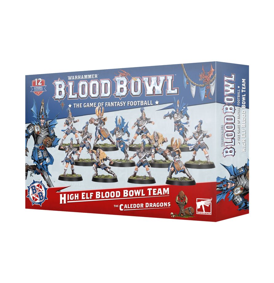 Bloodbowl: High Elf Team