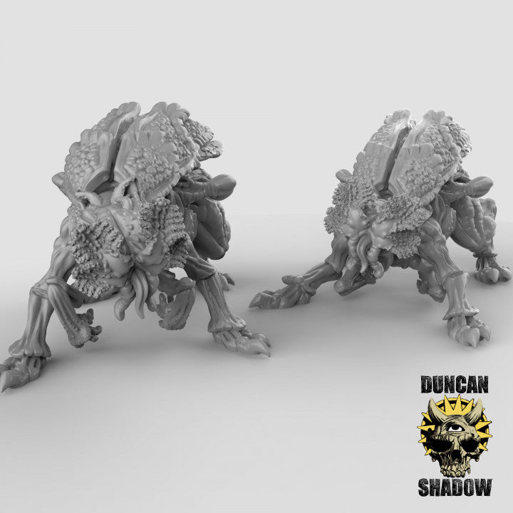 Duncan Shadow - Mi-Go 2-pack