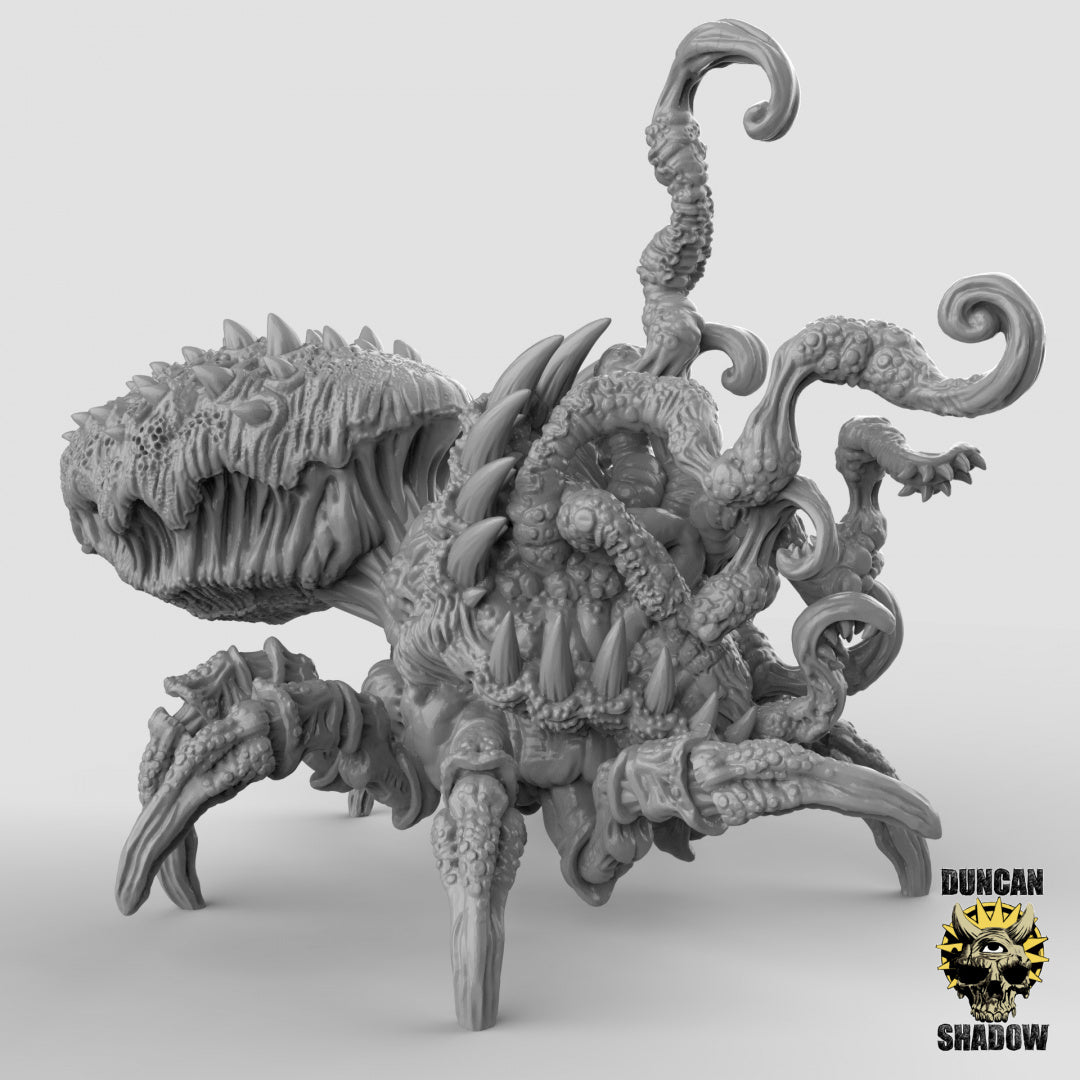 Duncan Shadow - Mythos Spider