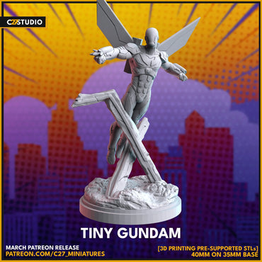 C27 - Tiny Gundam