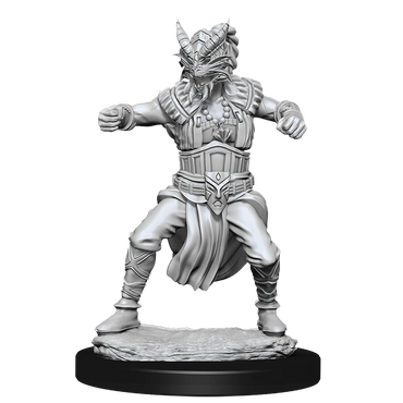 Wizkids: Human Monk