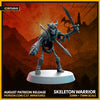 C27 - Skeleton Warrior