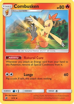 Combusken  - Reverse Holofoil Dragon Majesty - Uncommon