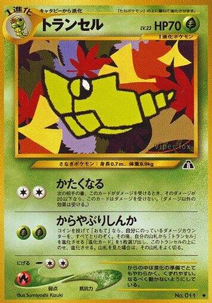 Metapod  - Crossing the Ruins