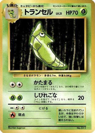 Metapod  - Expansion Pack No Rarity