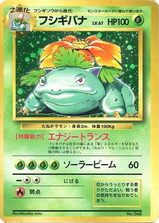 Venusaur  - Expansion Pack No Rarity Holofoil