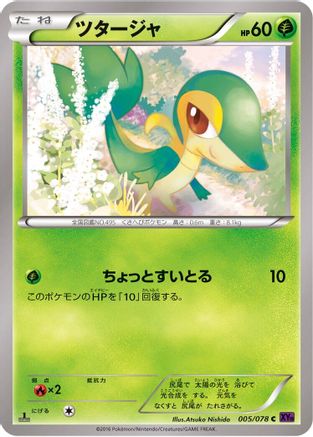 Snivy (005/078) - XY10 Awakening Psychic King Unlimited
