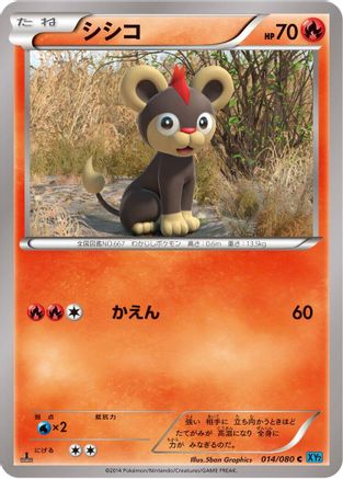 Litleo (014/080) - XY2 Wild Blaze 1st Edition