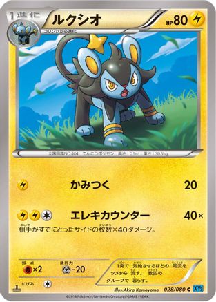 Luxio (028/080) - XY2 Wild Blaze 1st Edition