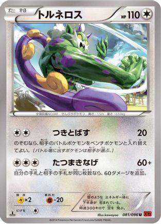 Tornadus (081/096) - XY3 Rising Fist Unlimited