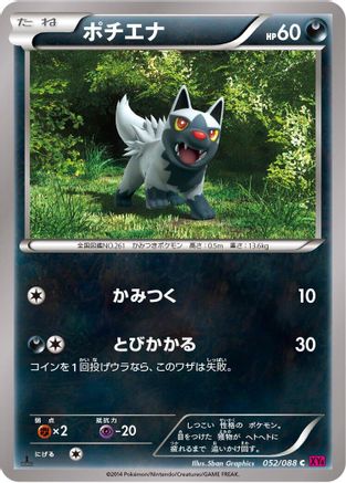Poochyena (052/088) - XY4 Phantom Gate 1st Edition