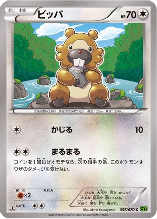 Bidoof - 057/070 (057/070) - XY5Bt Tidal Storm 1st Edition