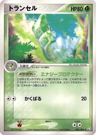 Metapod (002/082) - Flight of Legends Unlimited
